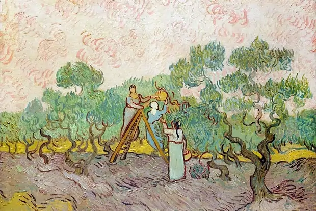 Вводная картинка