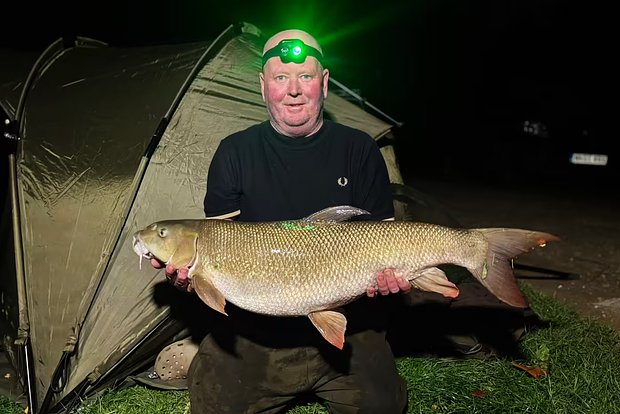 Вводная картинка