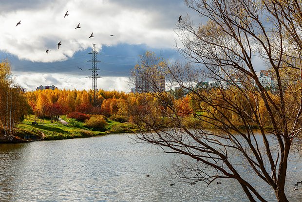 Вводная картинка