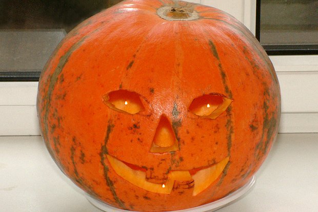 Вводная картинка