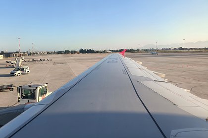 Появились новые данные о массовых погромах в российском аэропорту