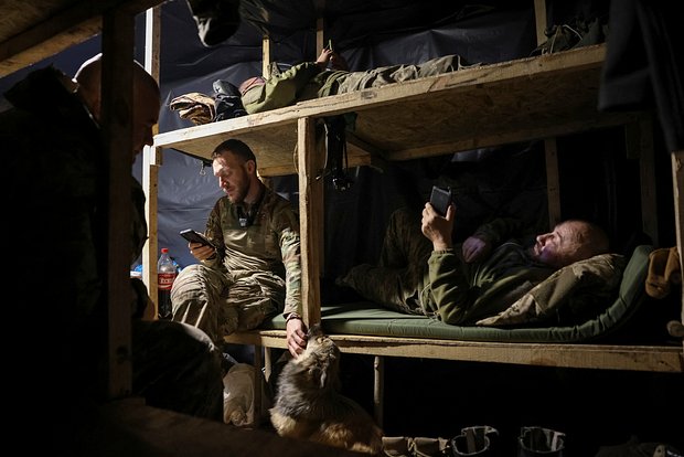 Вводная картинка