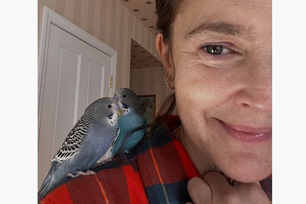 Вводная картинка