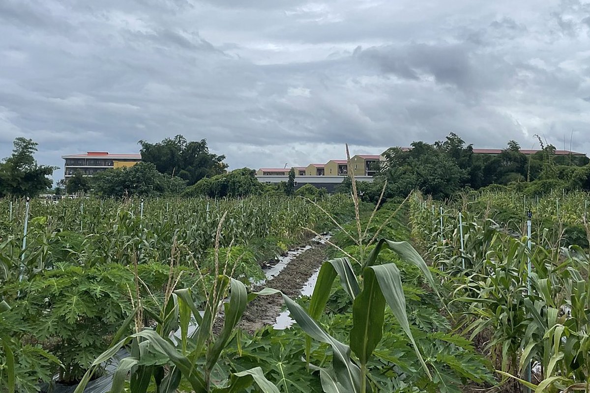 Скам-центр KK Park