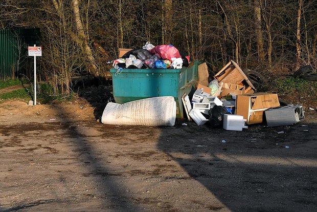 Вводная картинка