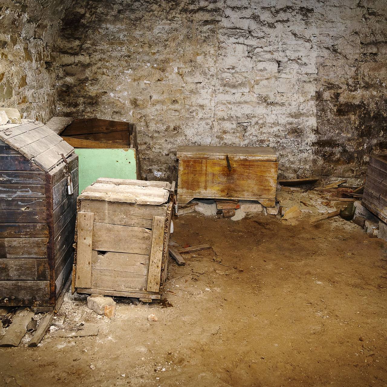 В США пропавшую 13-летнюю девочку нашли в ящике в подвале