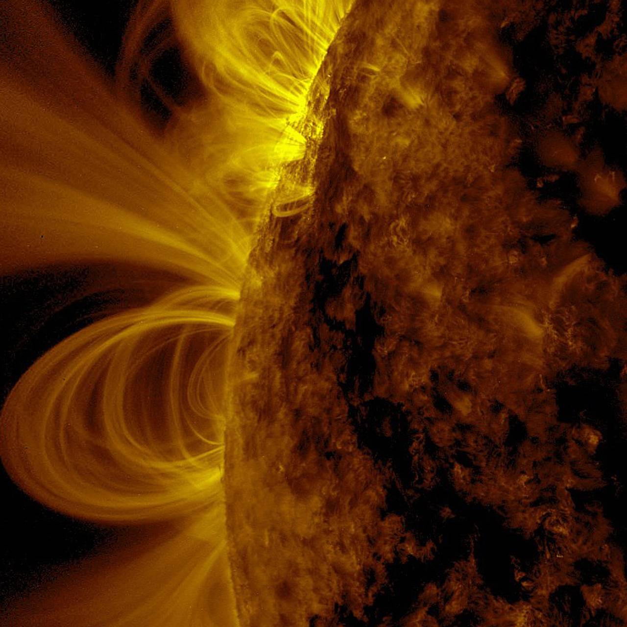 Ученые спрогнозировали высокую активность вспышек на Солнце