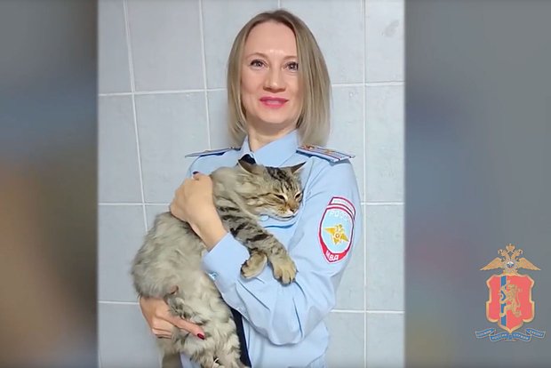 Вводная картинка