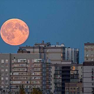 https://icdn.lenta.ru/images/2025/11/05/19/20251105192950811/square_320_6323bb450fae6d62195e8c8966ad99b3.jpg