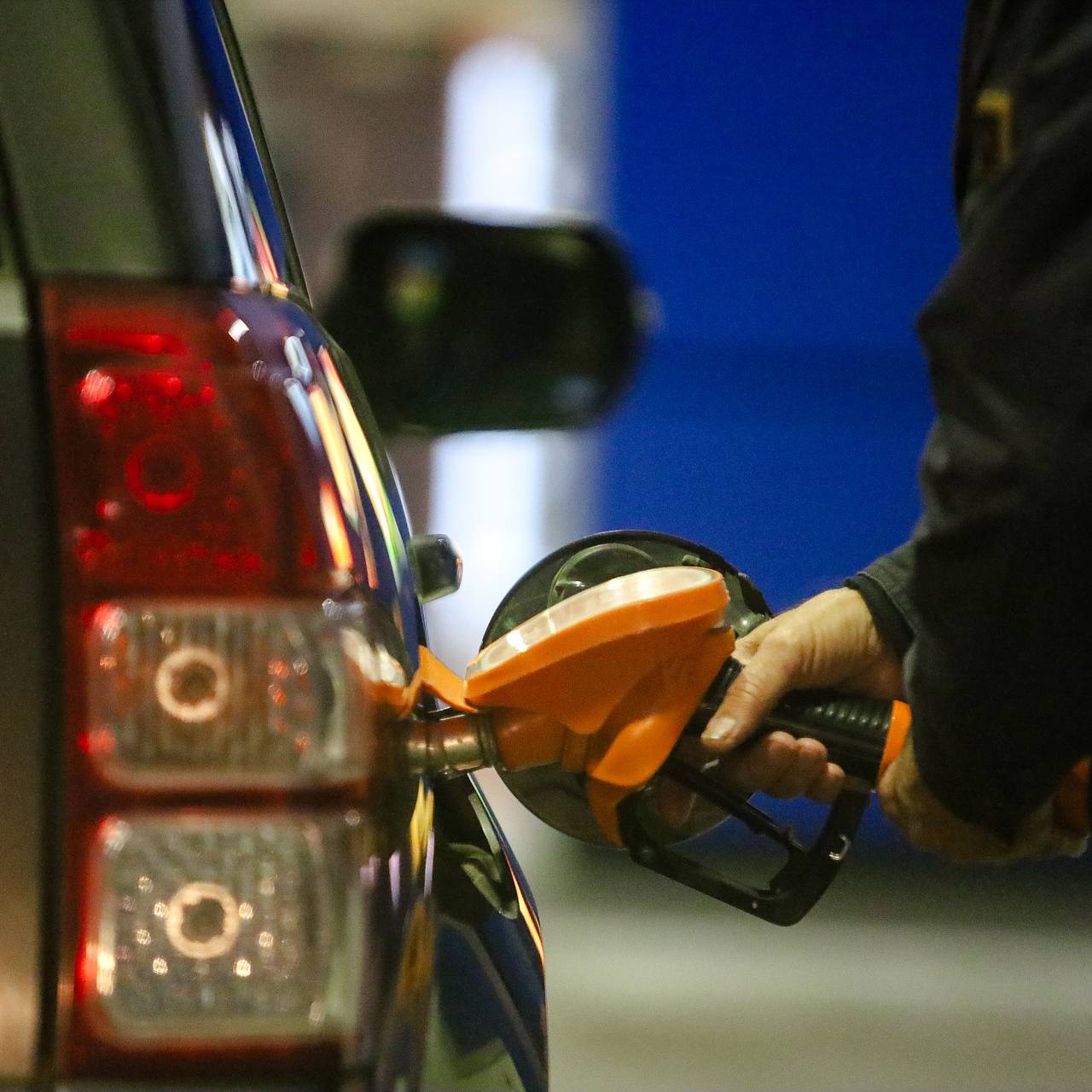 Фото: Elena Mayorova / Global Look Press