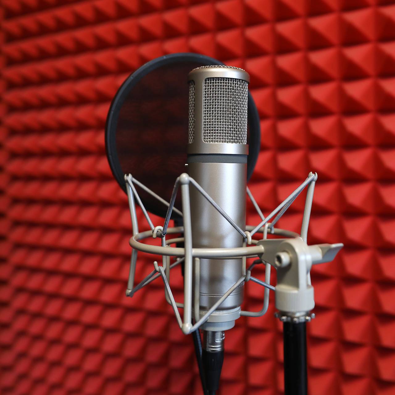 Фото: Aleksey Smyshlyaev / Global Look Press