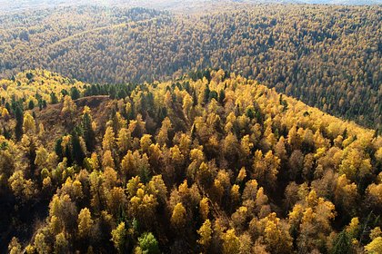 Названо количество преодоленных километров в поисках бесследно пропавших Усольцевых