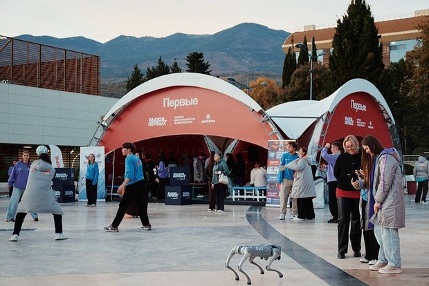 Вводная картинка