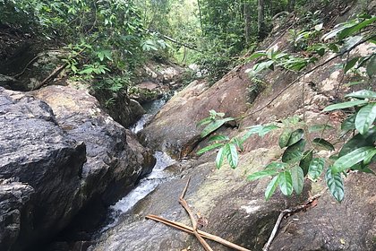Пара занялась сексом у водопада и попала за решетку
