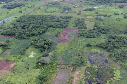 Раскрыта тайна крупнейшего памятника майя