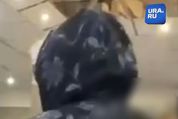 Вводная картинка