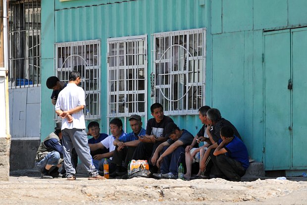 Вводная картинка