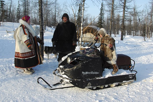 Вводная картинка