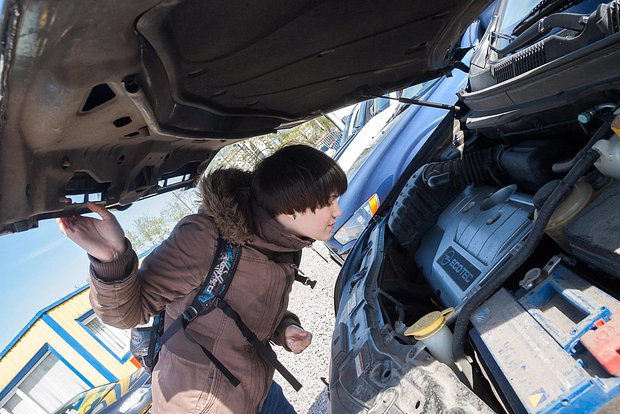 Вводная картинка