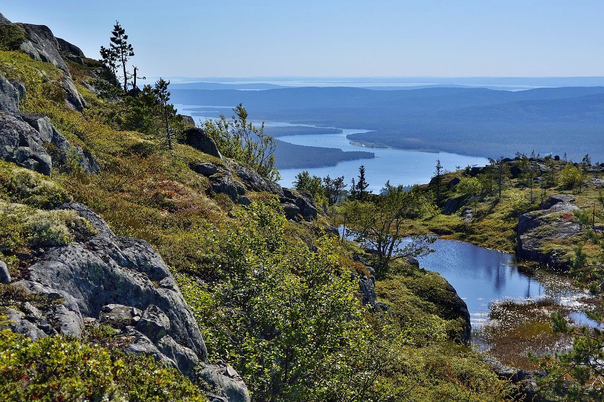 Вид с горы Кивакка на реку Оланга, впадающую в Пяозеро, Национальный парк «Паанаярви», Республика Карелия, Россия