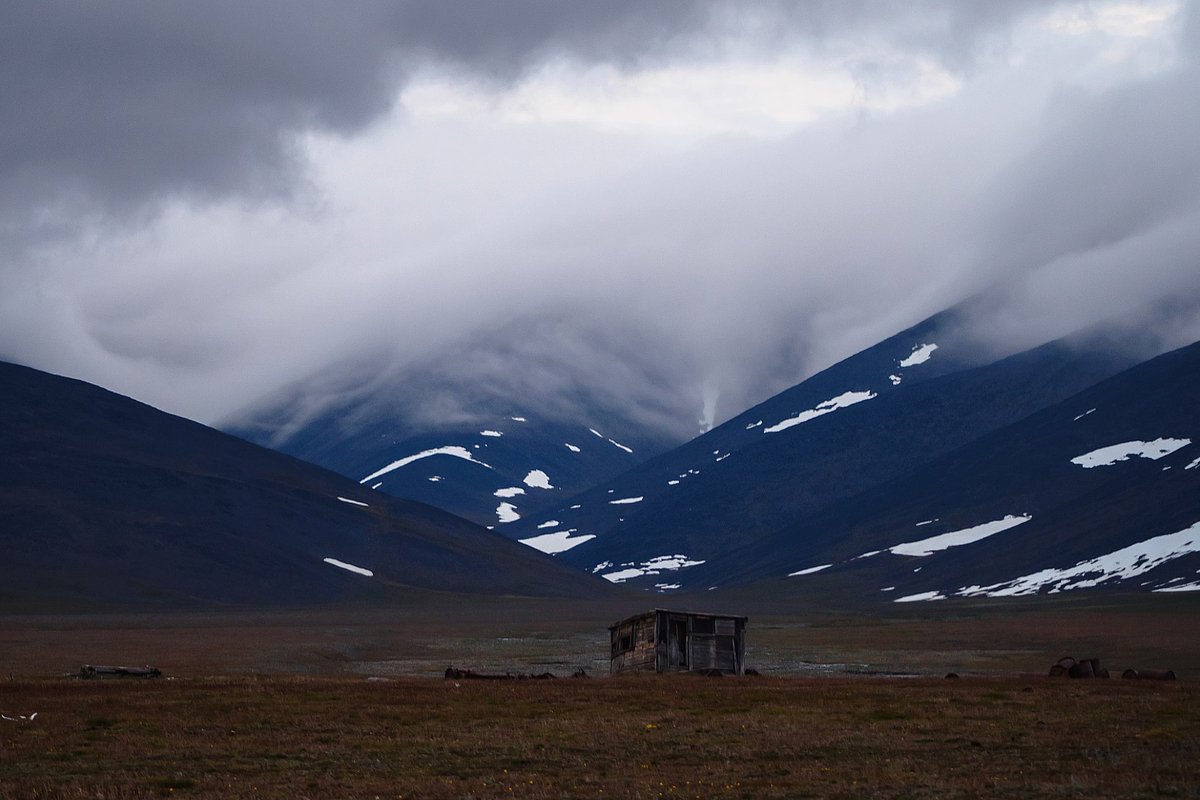 Остров Врангеля, Иультинский район, Чукотский автономный округ