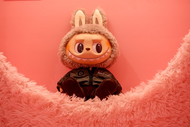 Вводная картинка