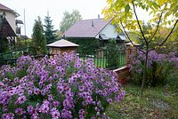 Россиянам рассказали о запрещенных объектах на собственных дачах 