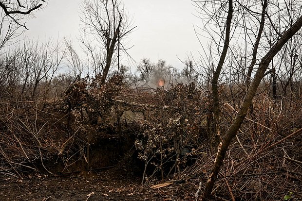 Вводная картинка