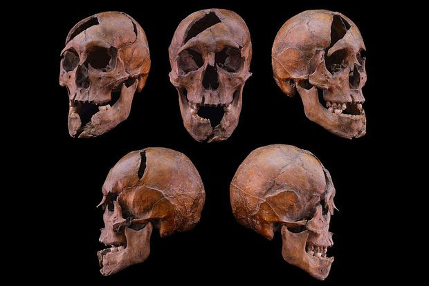 Вводная картинка