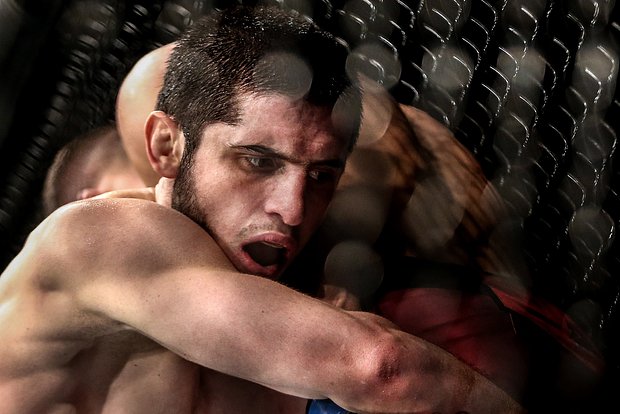 Вводная картинка