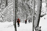 Тайник с деньгами, скрытые расщелины и ни одной зацепки. 44 дня ищут пропавшую в тайге семью россиян. Что могло с ними случиться?