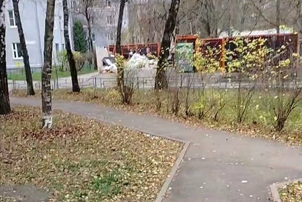 Вводная картинка