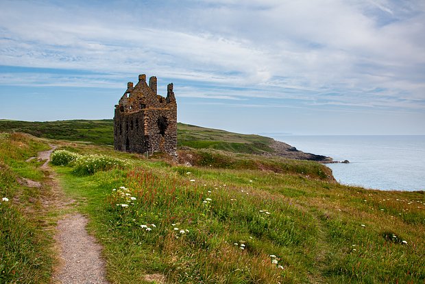 Вводная картинка