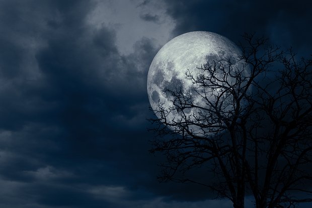 Вводная картинка