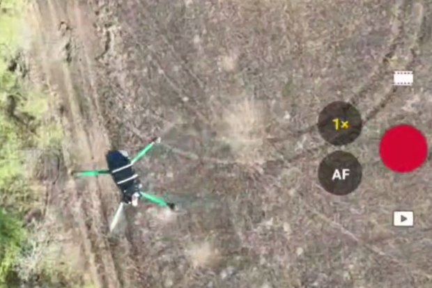 Вводная картинка