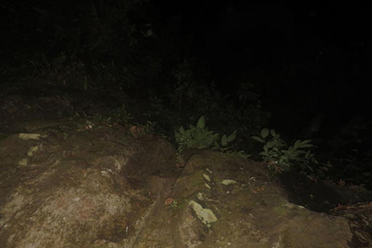 Один из последних снимков Фрон и Кремерс