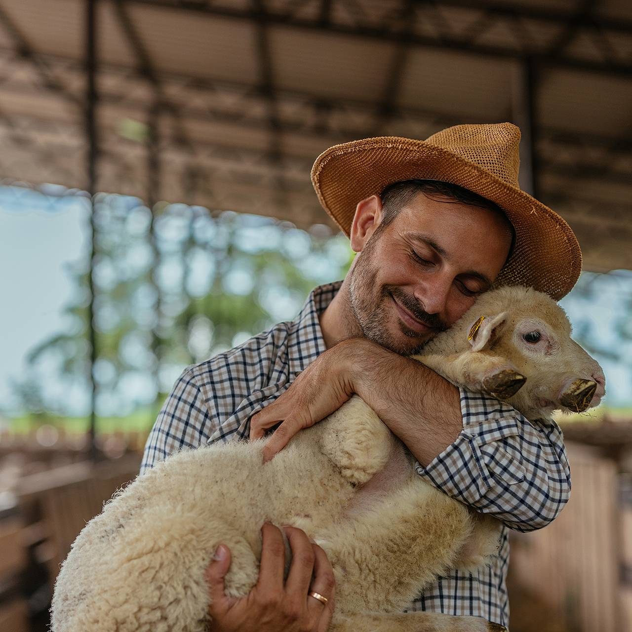 Более 200 посетителей фермы покормили животных и заразились от них паразитами