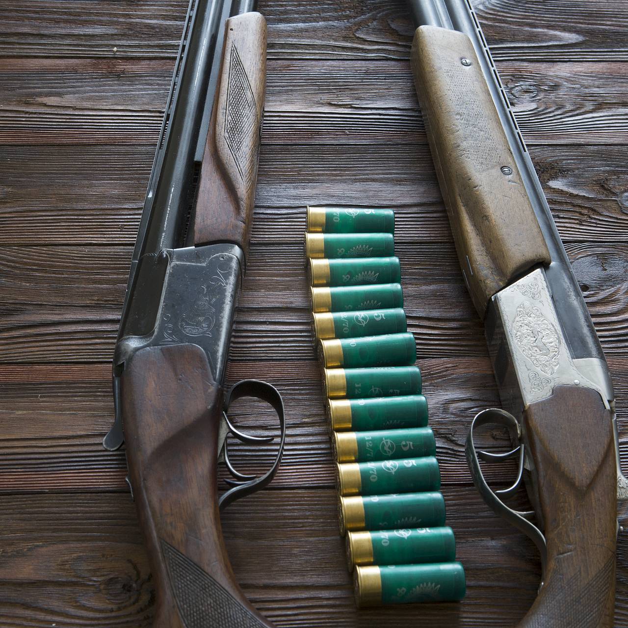 Собака подстрелила хозяина из ружья