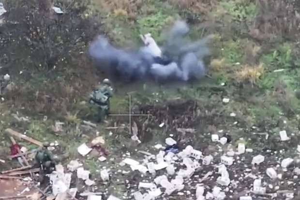 Вводная картинка