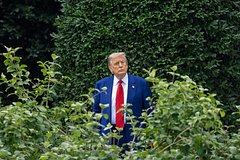 Дональд Трамп