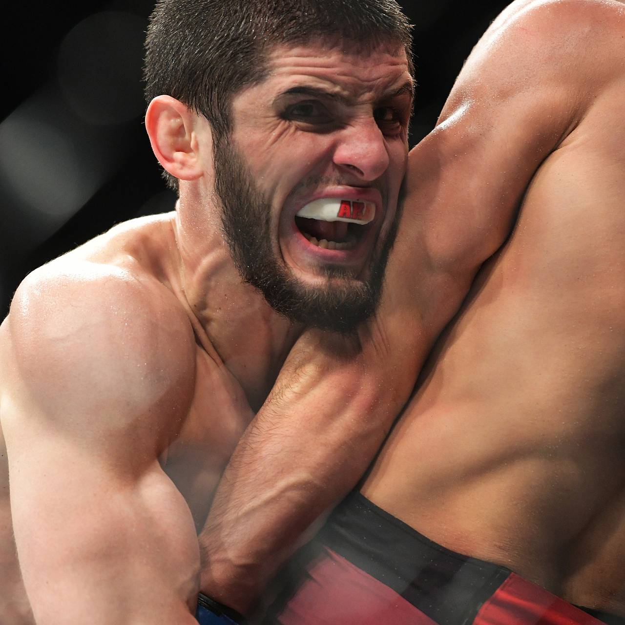 Махачев победил Маддалену и стал чемпионом UFC в полусреднем весе