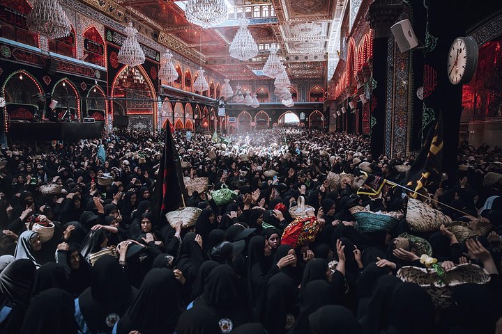 Фотографии, победившие в номинации «Моя планета. Серия»