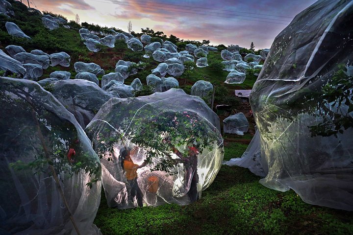 Одиночный снимок, ставший лучшим в номинации «Моя планета»