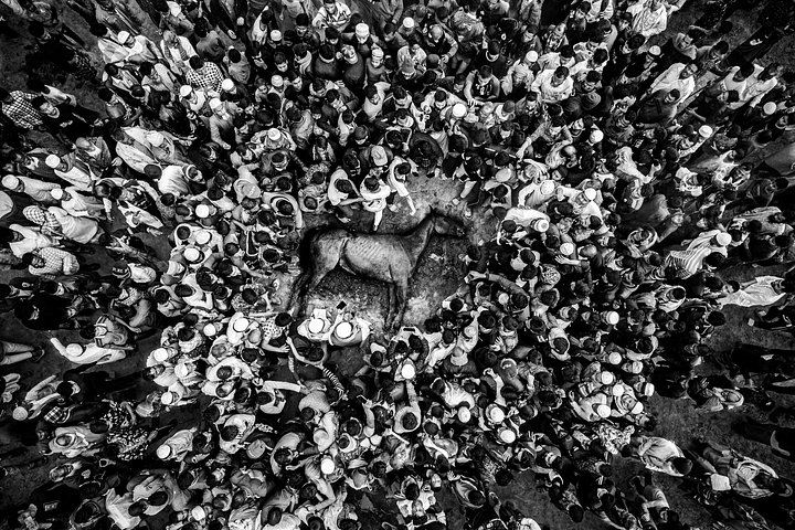 Одиночный снимок, одержавший победу в номинации «Спорт»