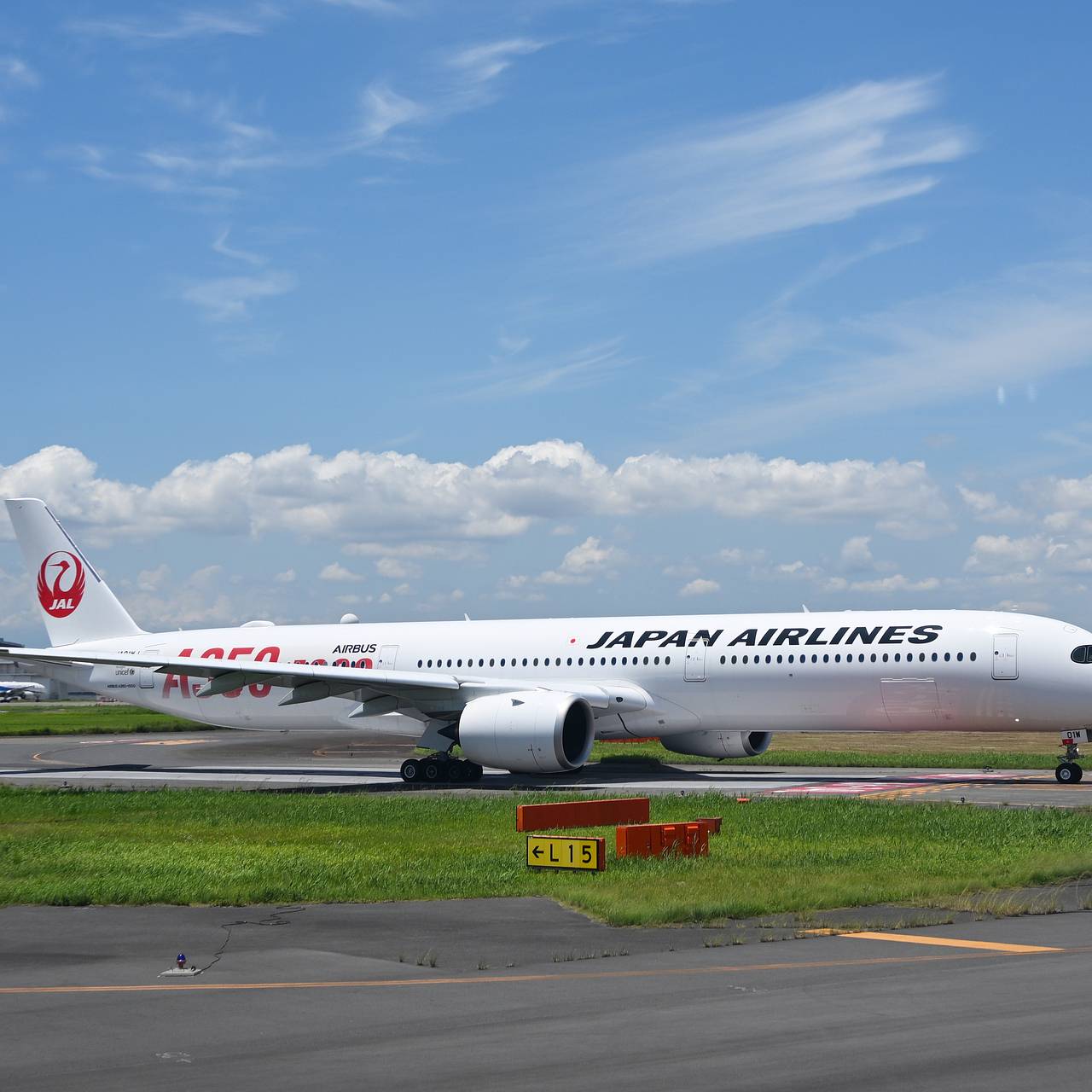 Японские авиакомпании захотели возобновить прямые рейсы с Россией