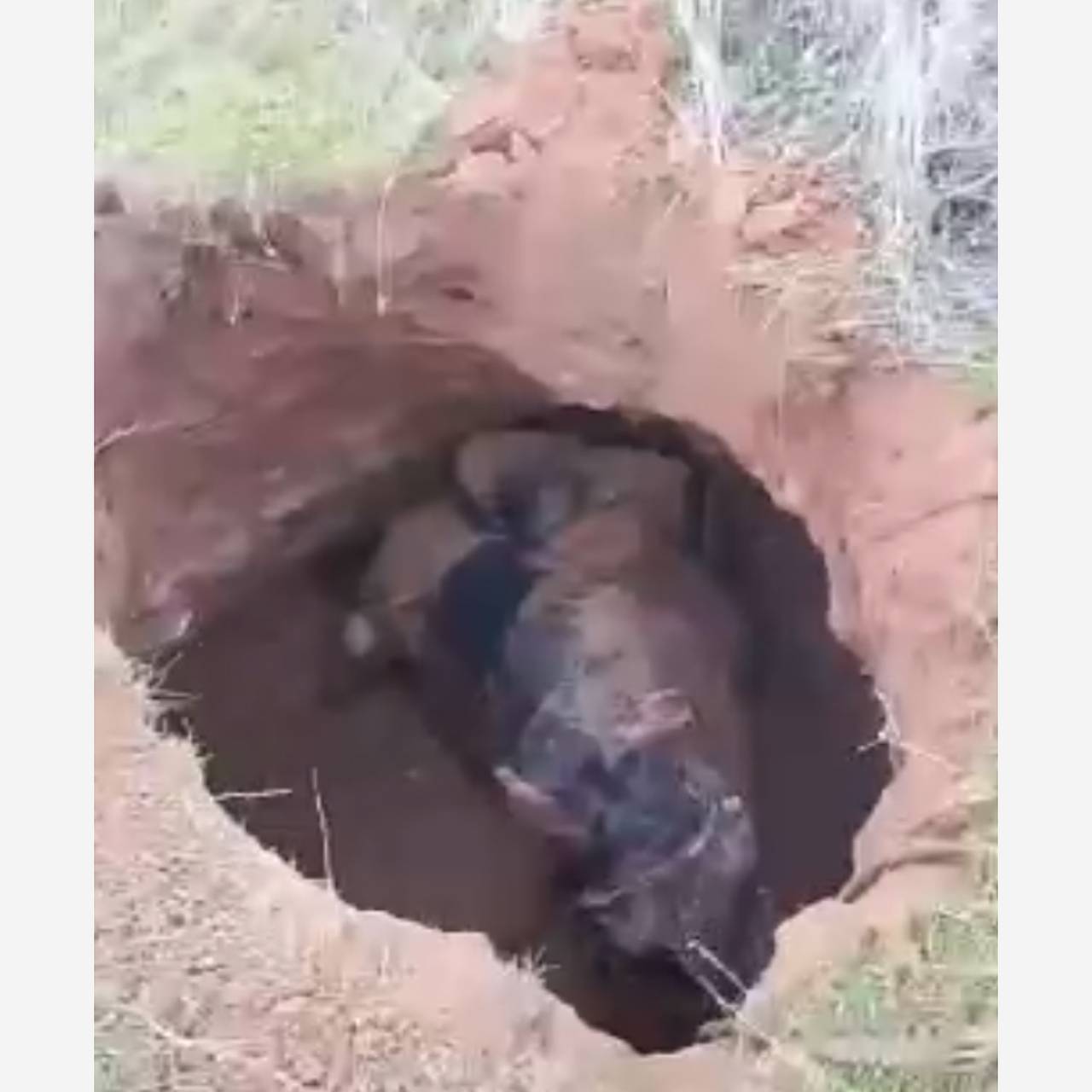 Всадник на лошади провалился в огромную яму в России и сделал неожиданное открытие