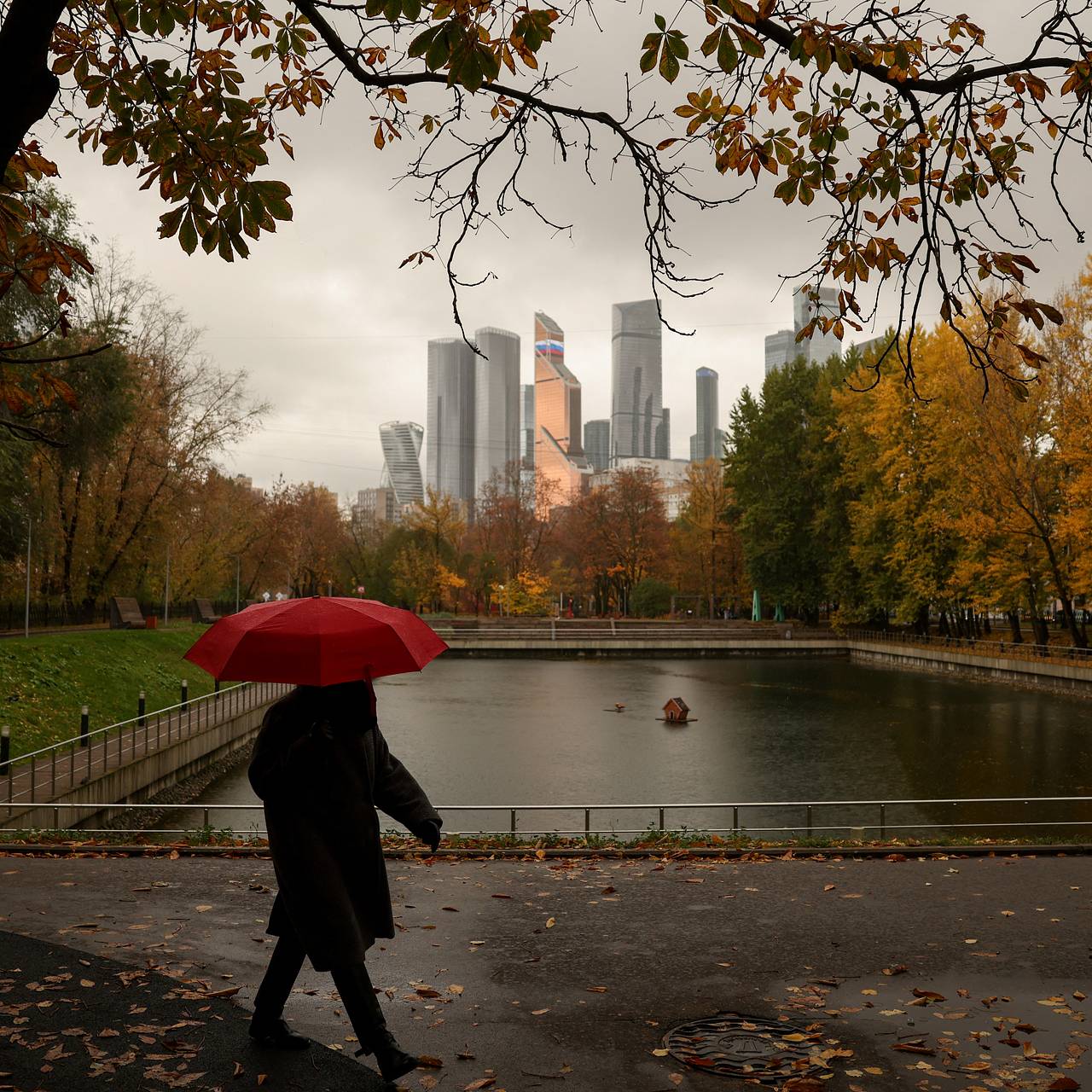 В Москве назвали долю возглавляемого женщинами бизнеса
