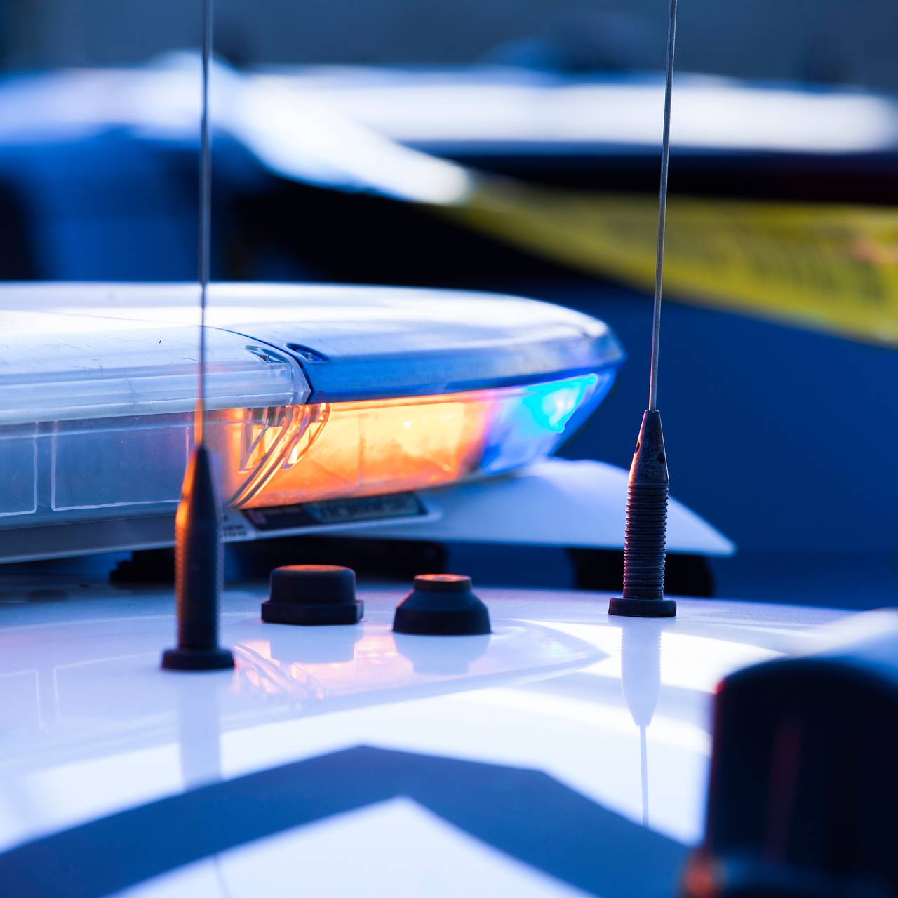 Олень расправился с женщиной