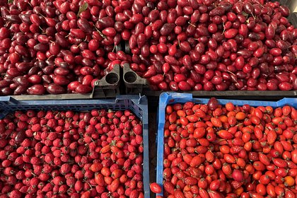 Найдено природное средство для укрепления костей