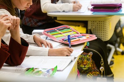 Названо число сумевших поступить в российские школы детей мигрантов